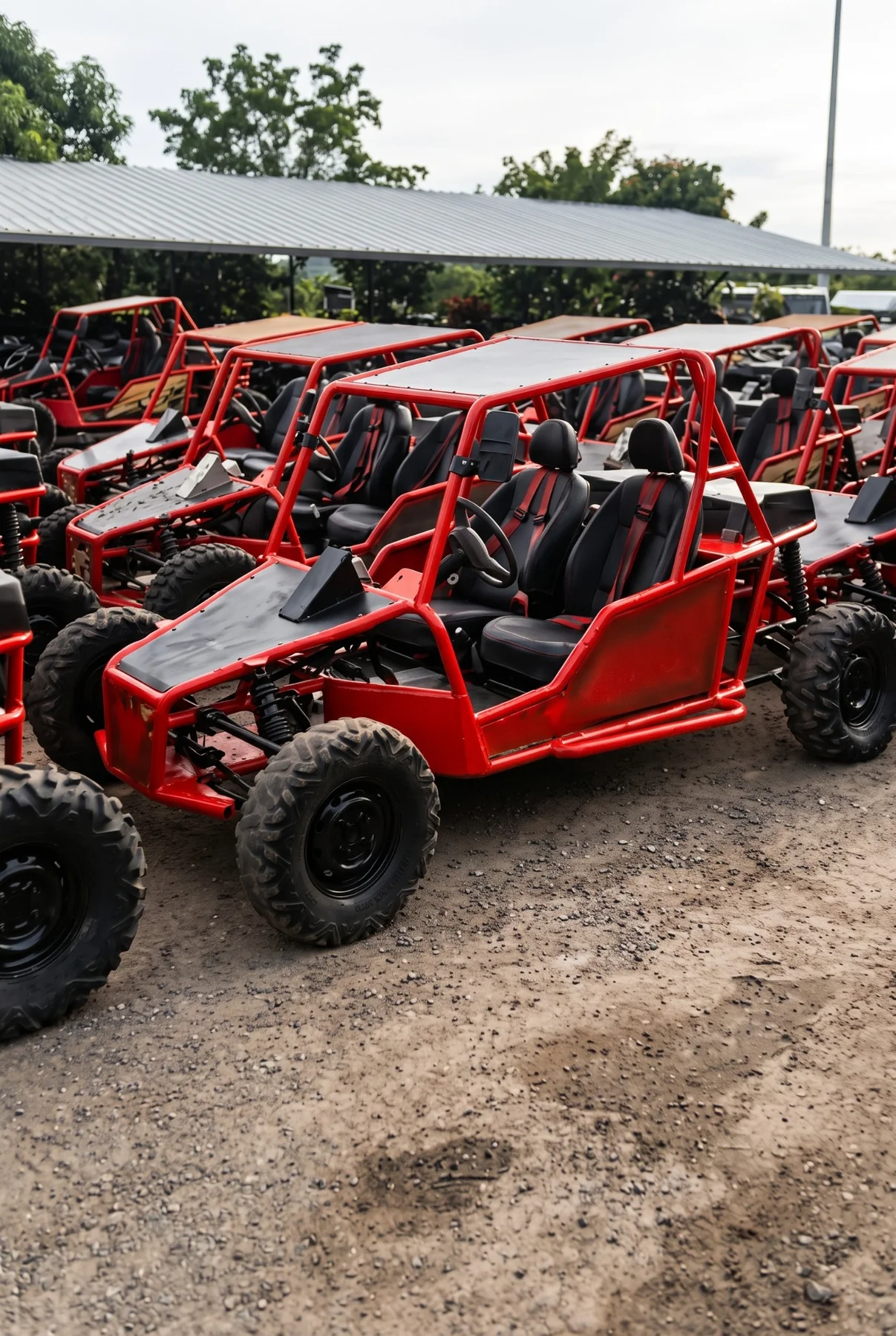 Flota de buggies rojos