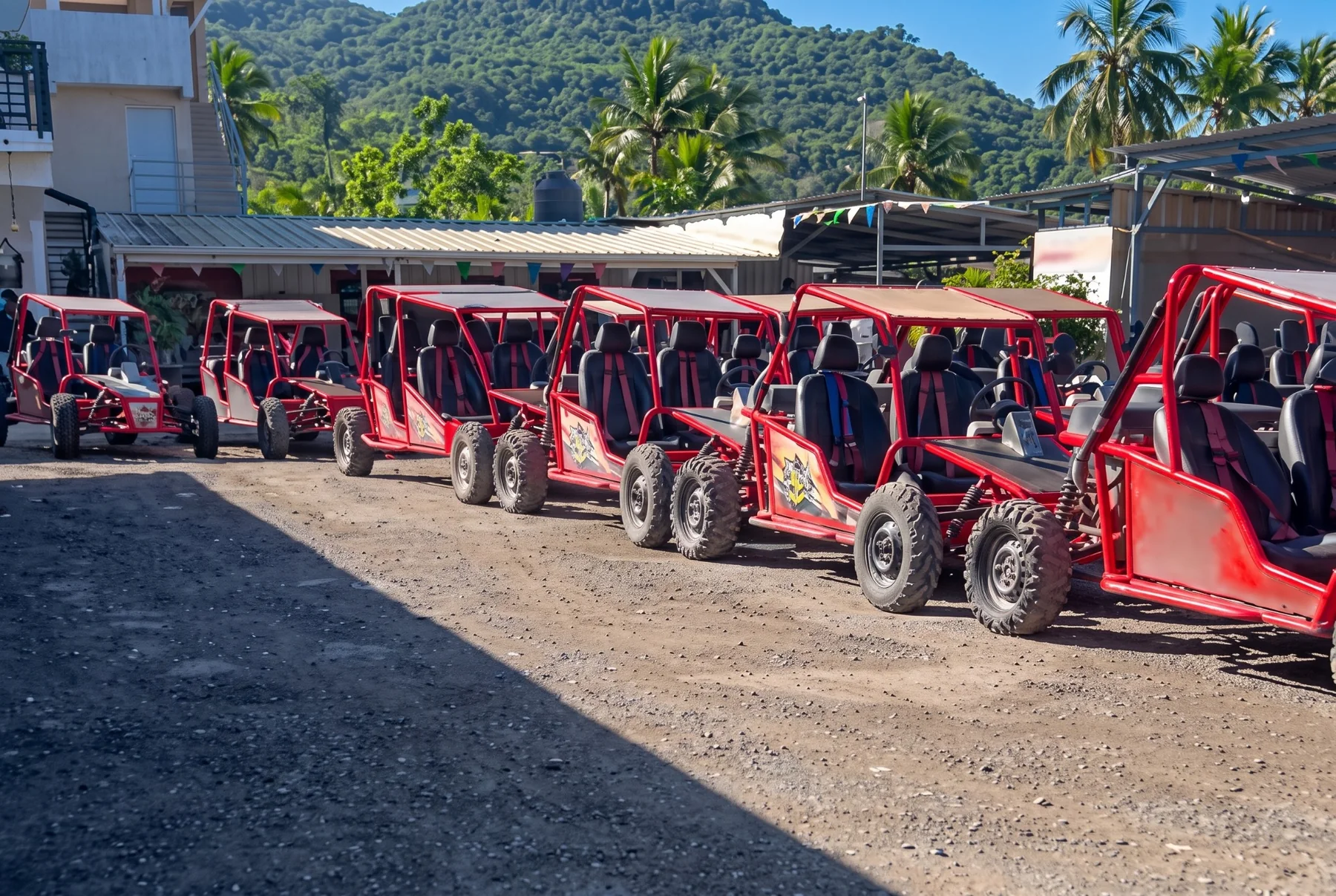 Grupo de buggies